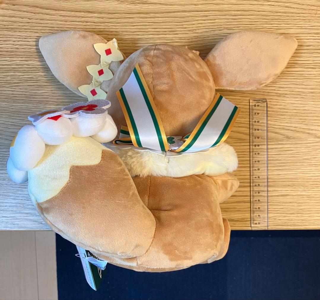 ポケパークカントー限定 イーブイ帽子なし ぬいぐるみパペット