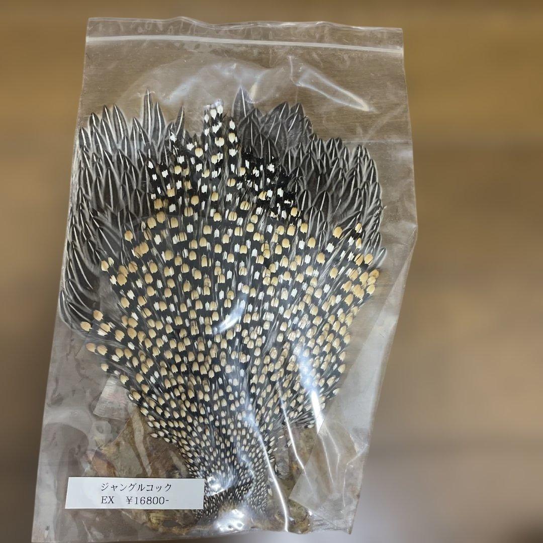 ジャングルコック キャナル｜フライマテリアル｜ジャングルコック｜Jungle Cock | K