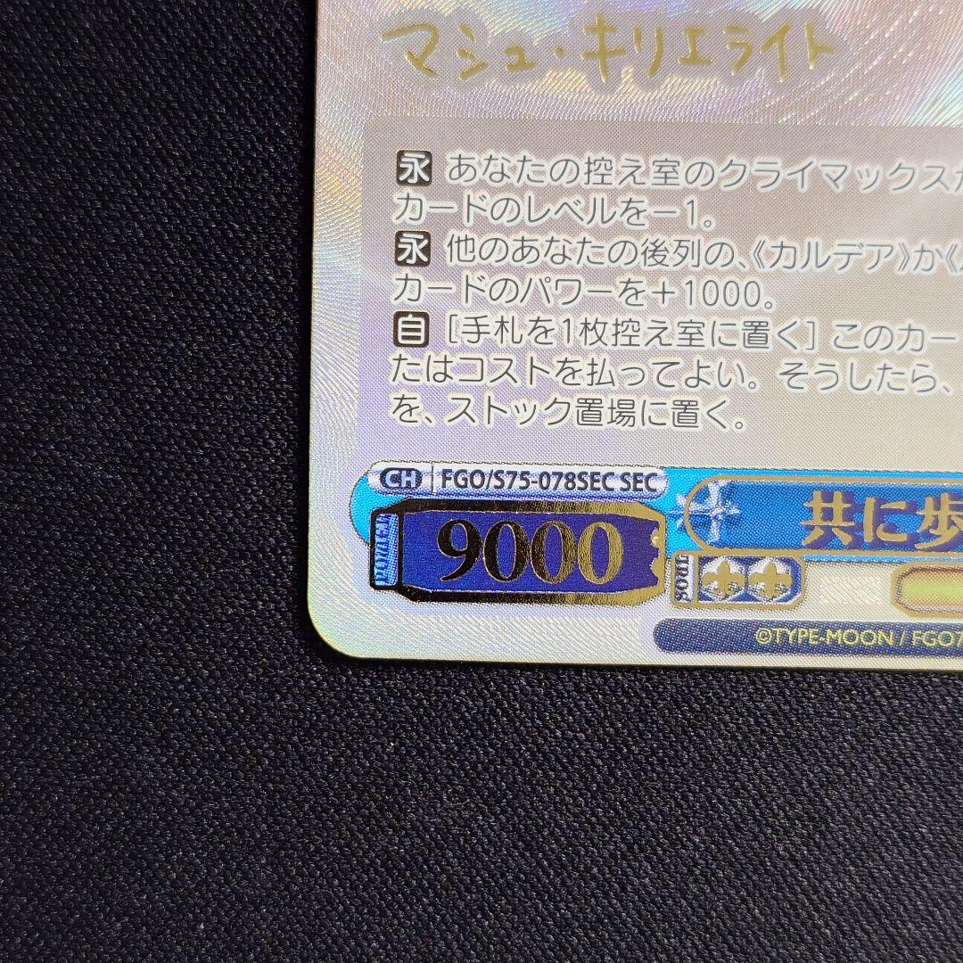 共に歩む旅 マシュ SEC