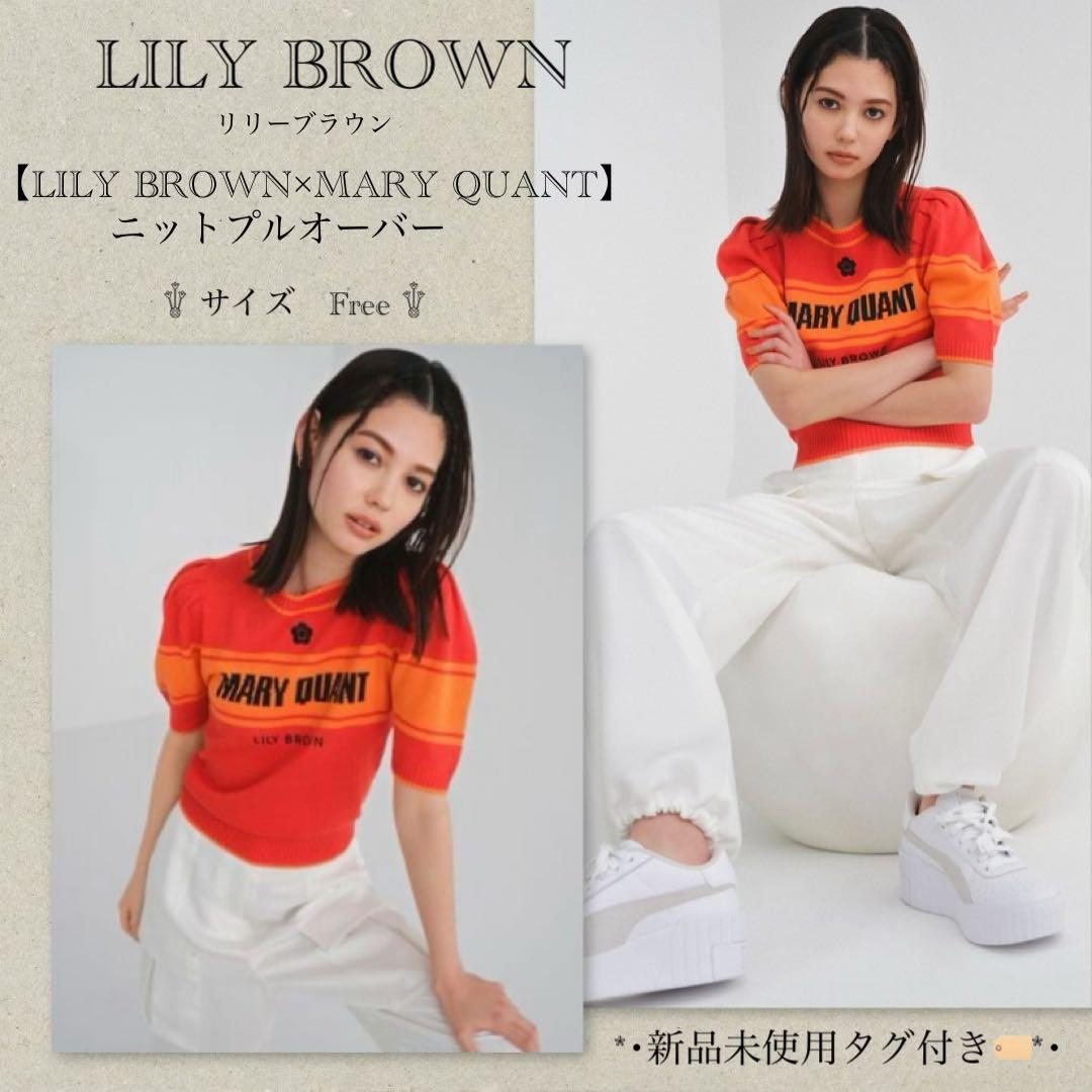 柿乃葉 kakinoha 別注Smooth Turtle Knit タートル 8