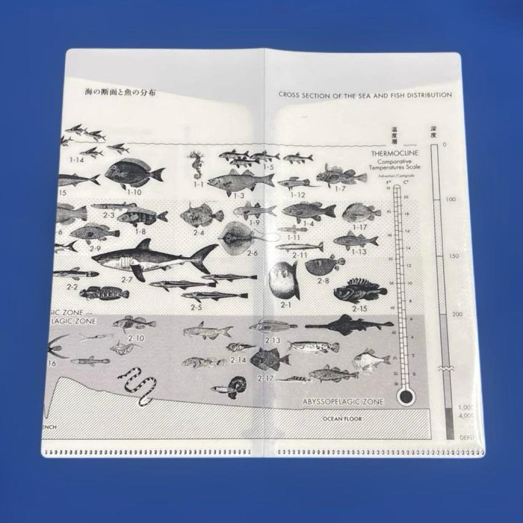 非売品】サカナクション 魚図鑑 チケットホルダー - メルカリ