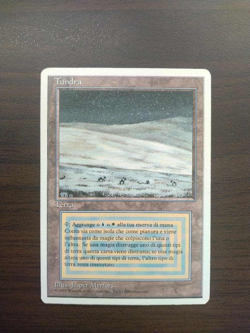 Tundra　イタリア語 イタリア語)Tundra / Tundra【3ED】 白枠 No.289｜MtG通販サイト