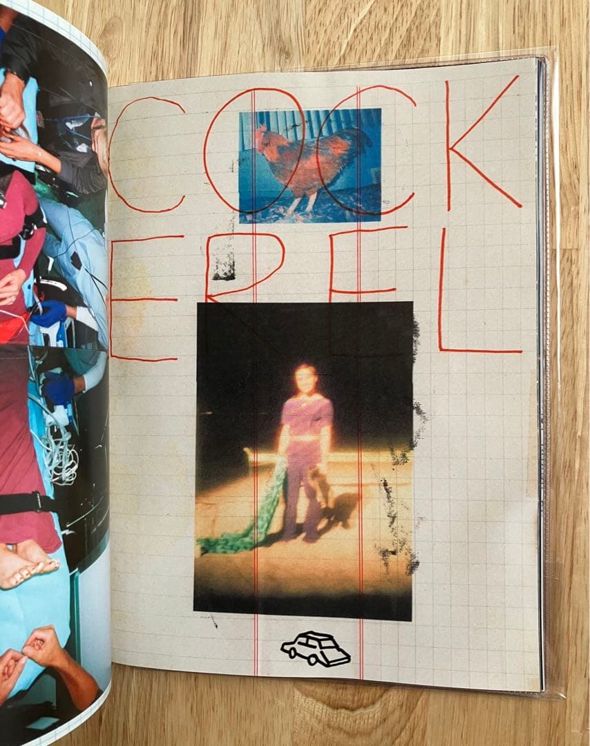 INSIDE THE BUM ビーチ・バム まじめに不真面目 写真集