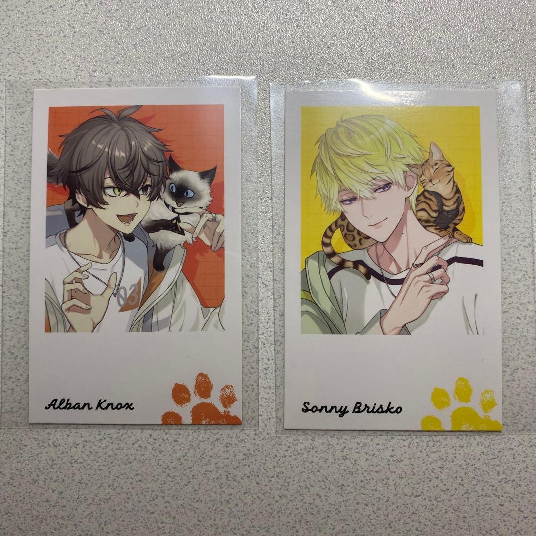 ランダムチェキ風カード:サニー•ブリスコー、アルバーン•ノックス