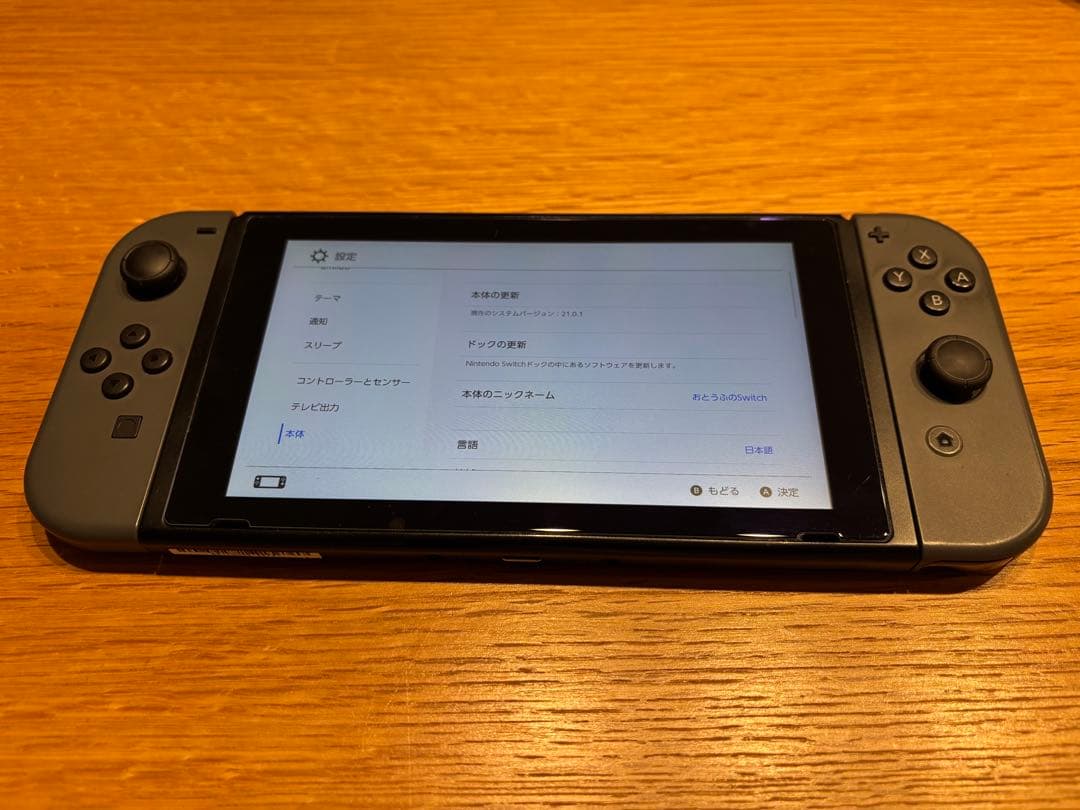 Nintendo Switch 本体 グレー 充電器・ケース付き