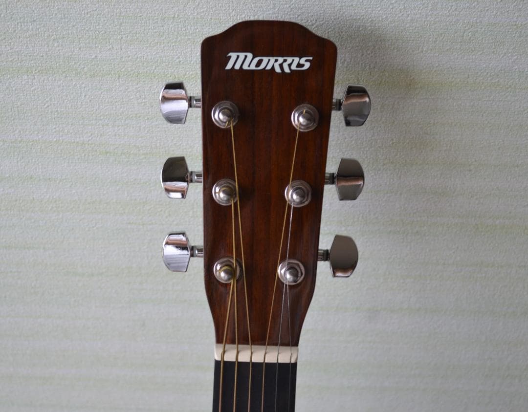 morris F-01TS モーリス アコースティック ギター付属品付