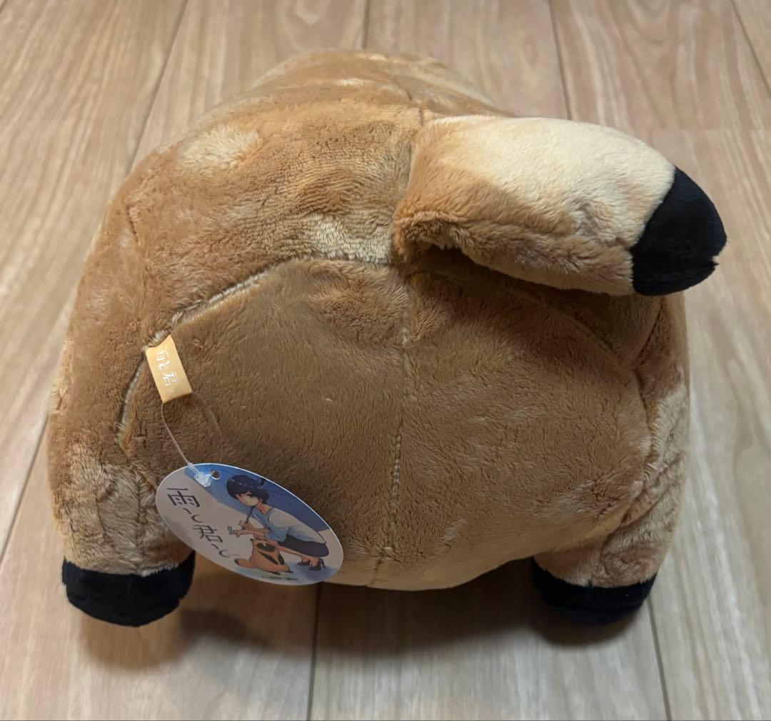 雨と君と BIGぬいぐるみ 『君』 犬 たぬき 狸 - メルカリ