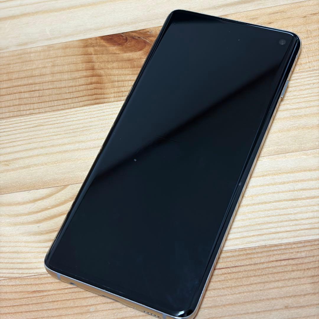 チワワ☆ Galaxy S10 8888