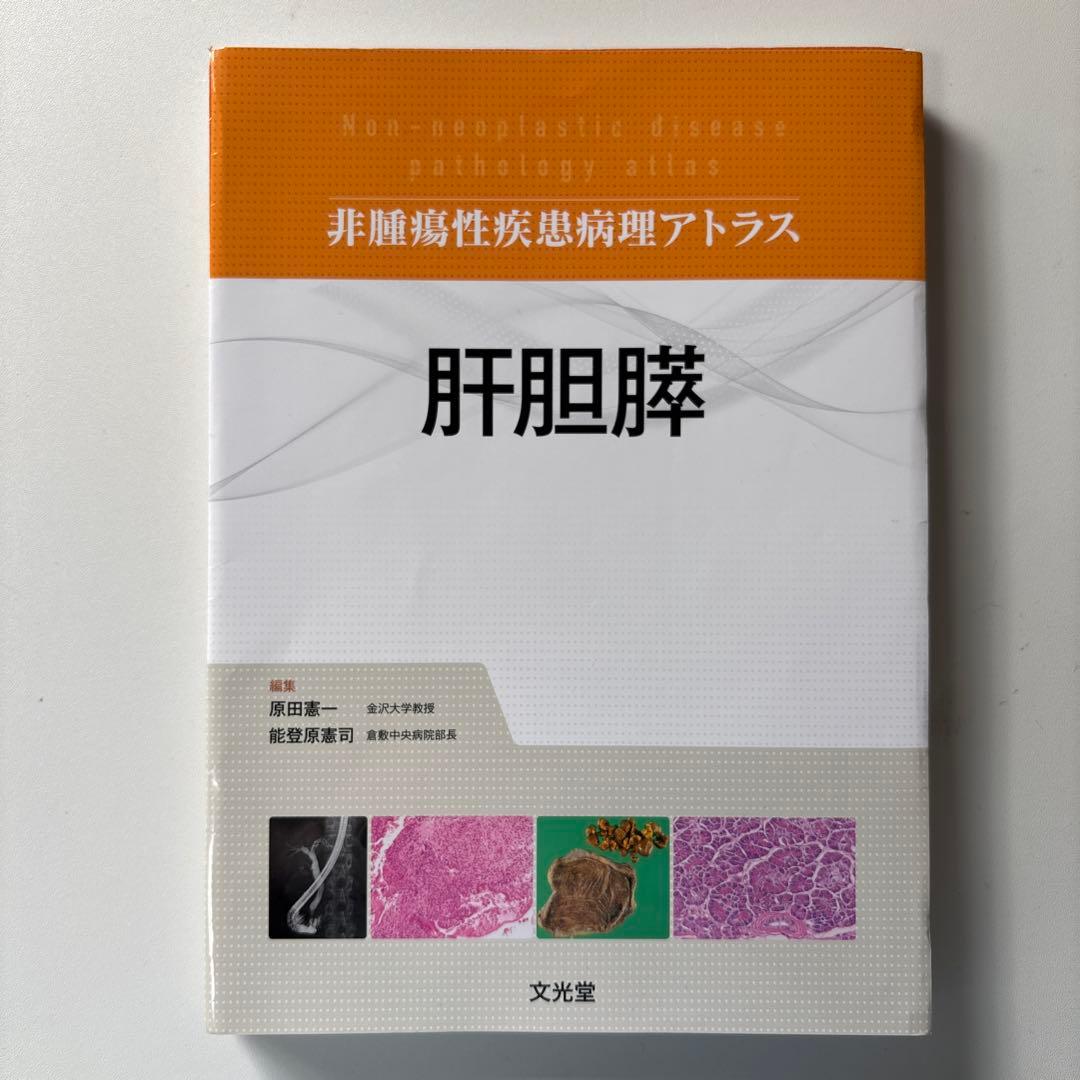 【裁断済】非腫瘍性疾患病理アトラス 肝胆膵 61273RG5upL.jpg