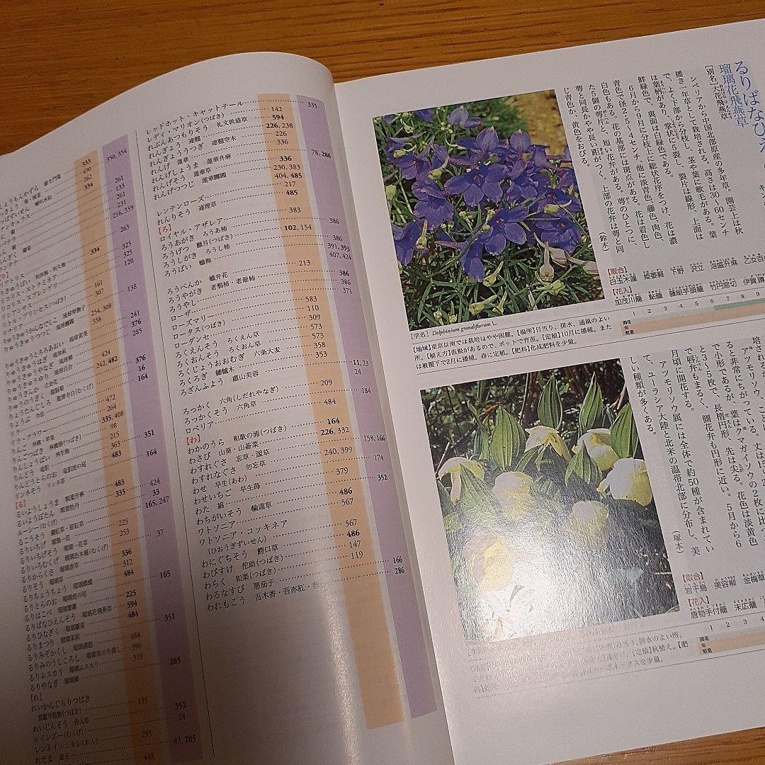 新版 茶花大事典 上巻・下巻　淡交社