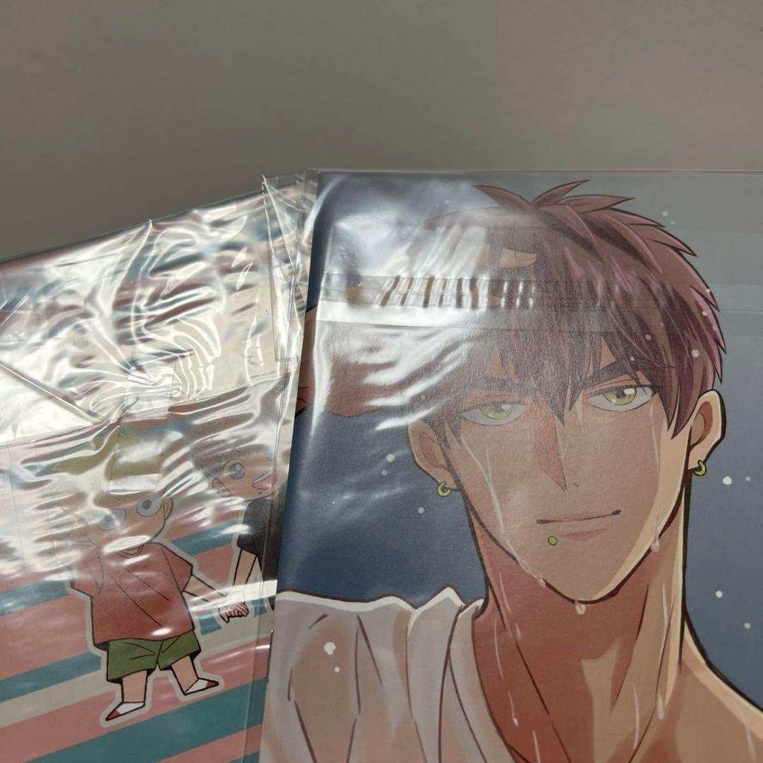 ＢＬ　３００３　めぐみとつぐみ①②③④、はやとちりは埒があかない？…S井ミツル