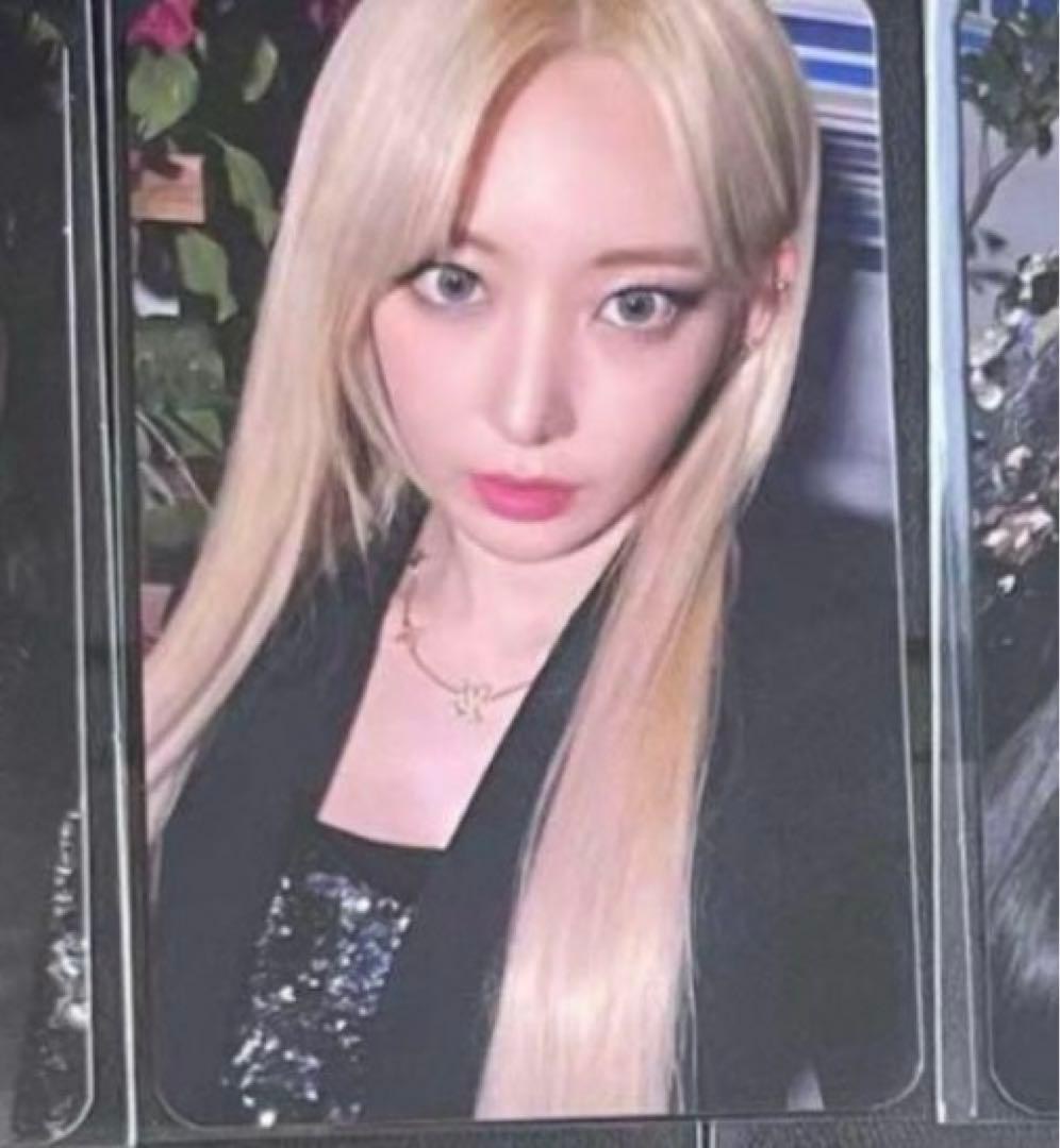 ルセラフィム サクラ コーチェラ hello82 US 限定 トレカ - メルカリ