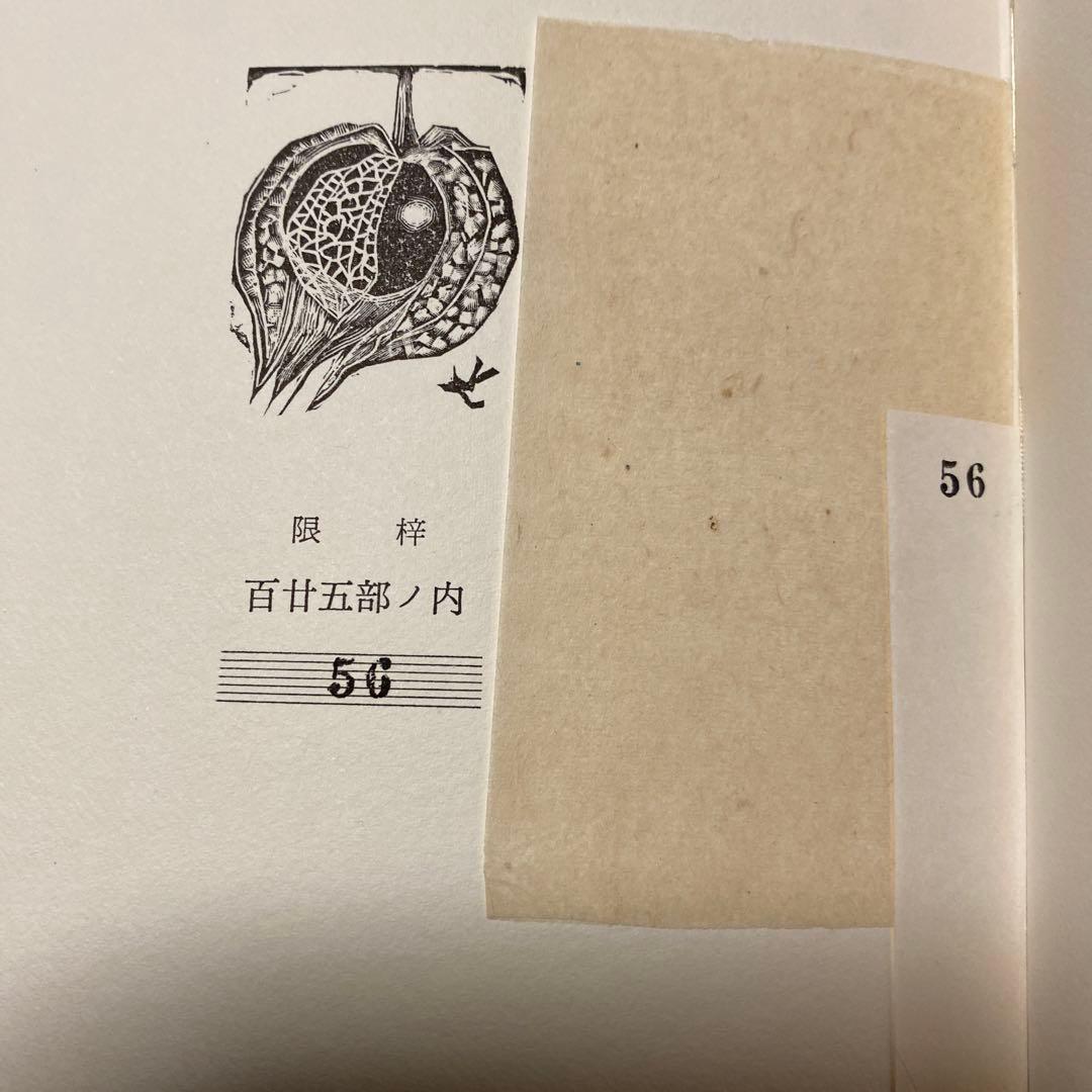 値下げ！銅版画3葉[サイン！限定125部]詩集 日本海 関野準一郎 革装天