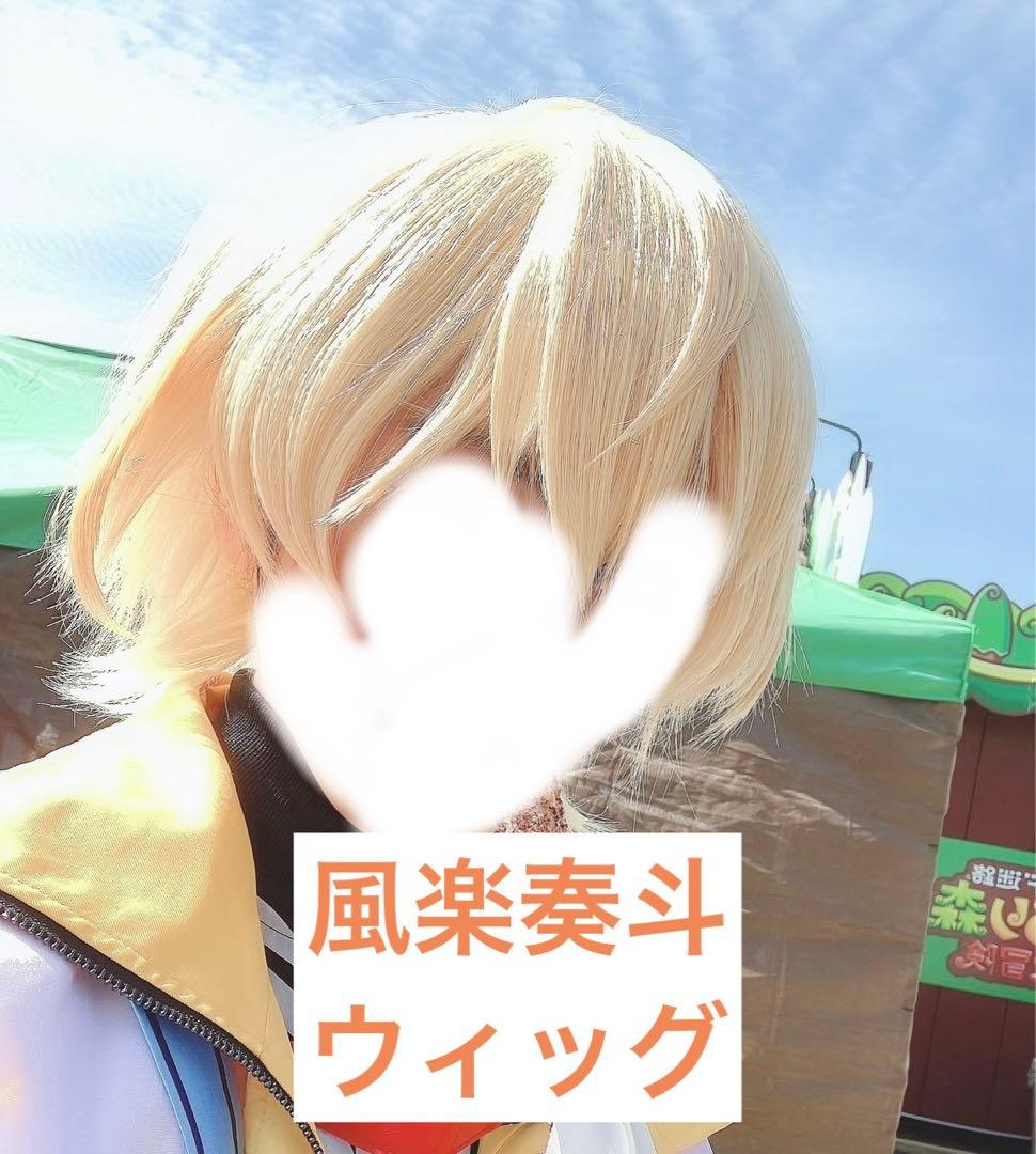 にじさんじ 風楽奏斗 コスプレ ウィッグ - メルカリ