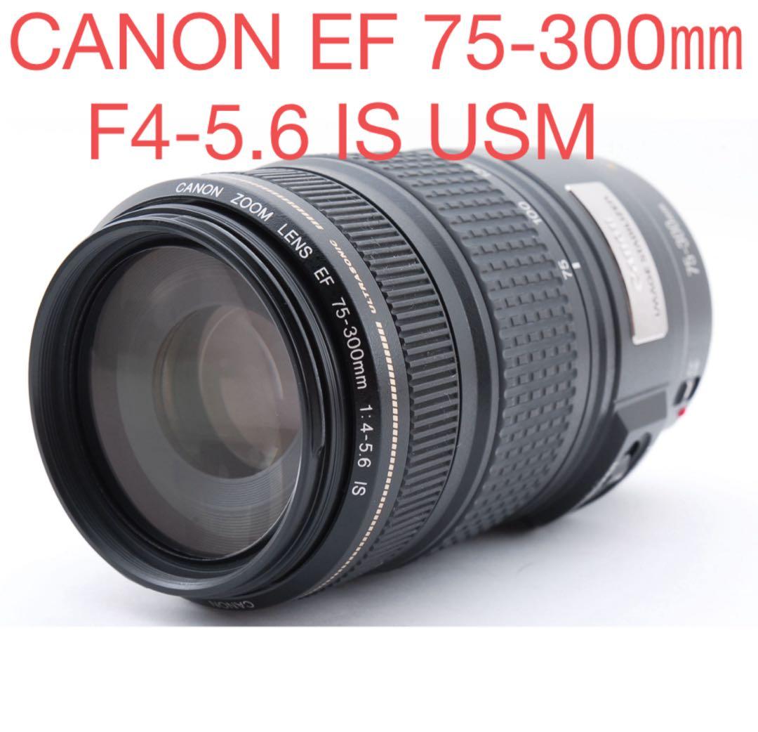 美品　手ブレ補正搭載/CANON EF 75-300㎜F4-5.6 IS USM EF75-300mm F4-5.6 IS USM - キヤノンカメラミュージアム