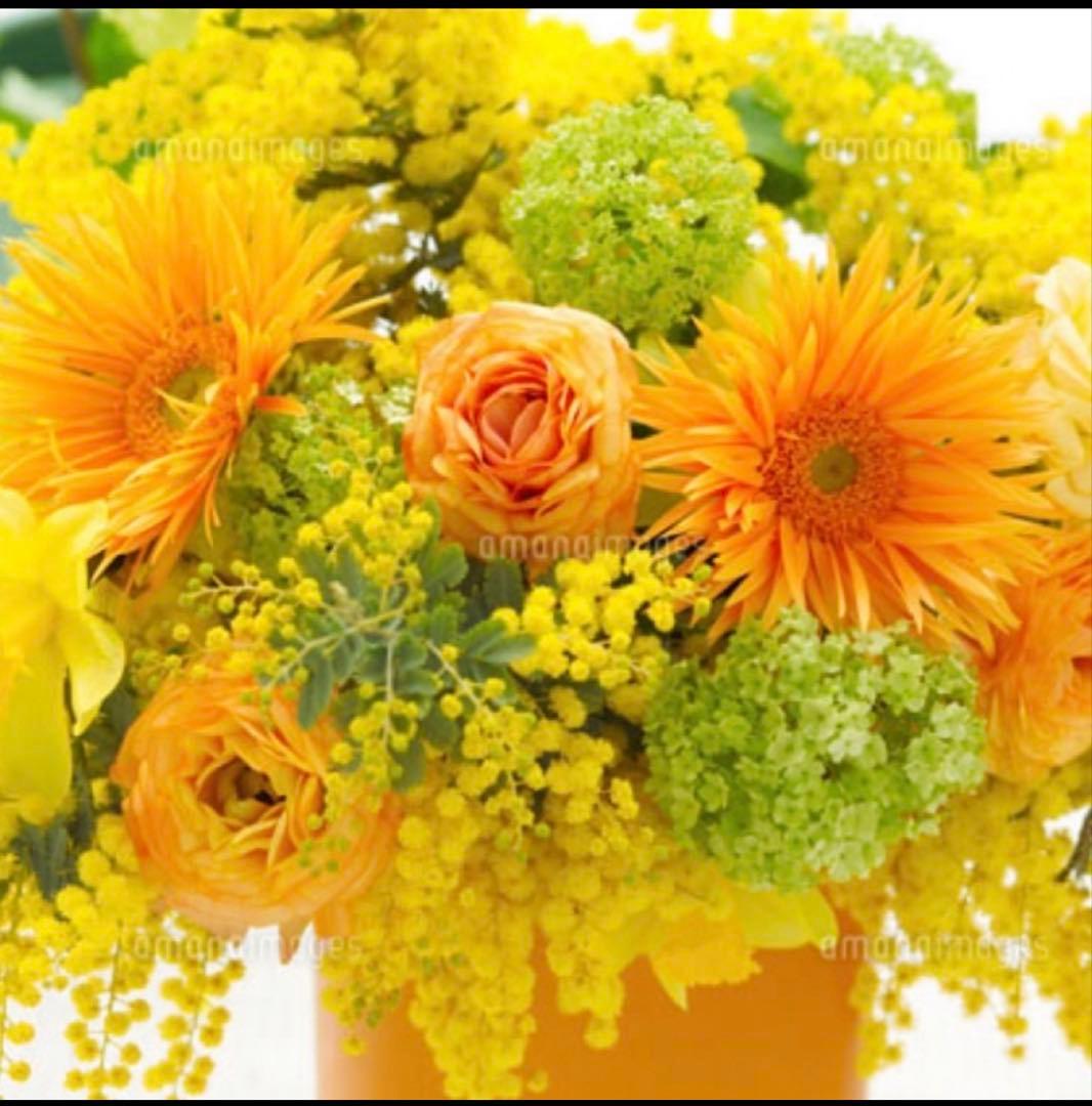 mini様ご注文商品 タッチパネル付き歯突起尖指定装置 - Root ZX mini - Morita