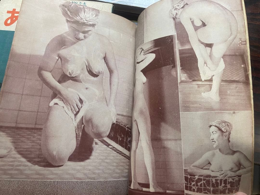 あるす・あまとりあ : 性交態位六十二型の分析