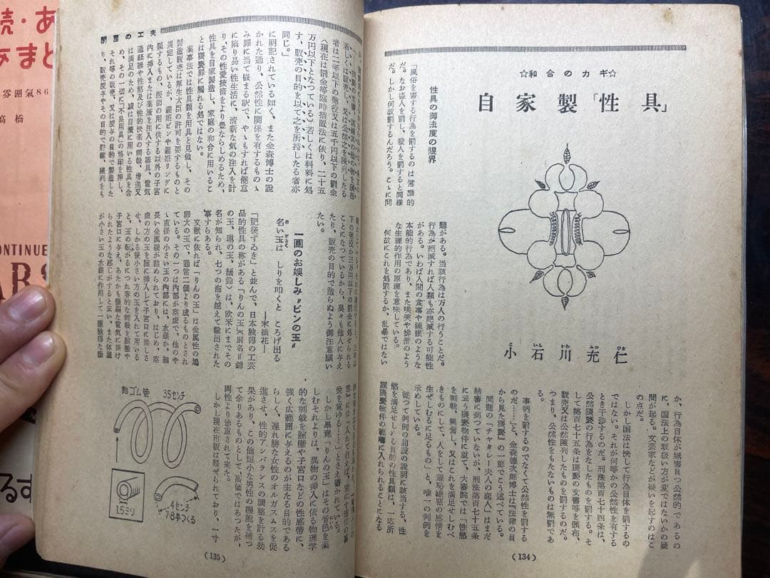 あるす・あまとりあ : 性交態位六十二型の分析