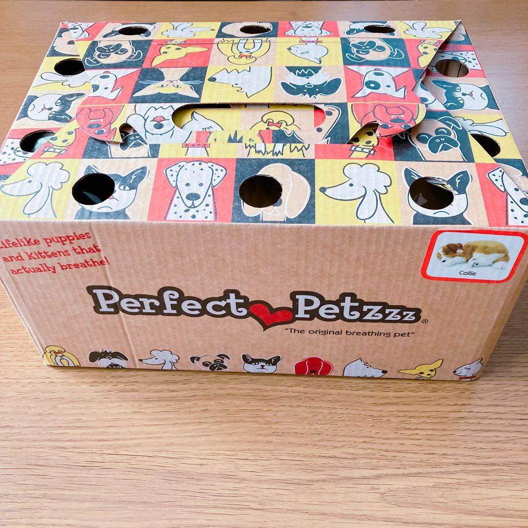 新品】 ニニアンドキノ パーフェクトペット コリー 小型犬 リアル 動物