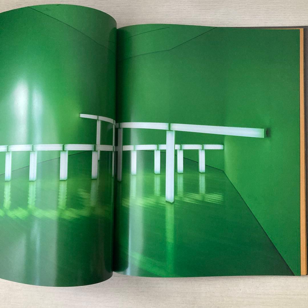 Dan Flavin ダン・フレイヴィン グッゲンハイム美術館 2000年 図録