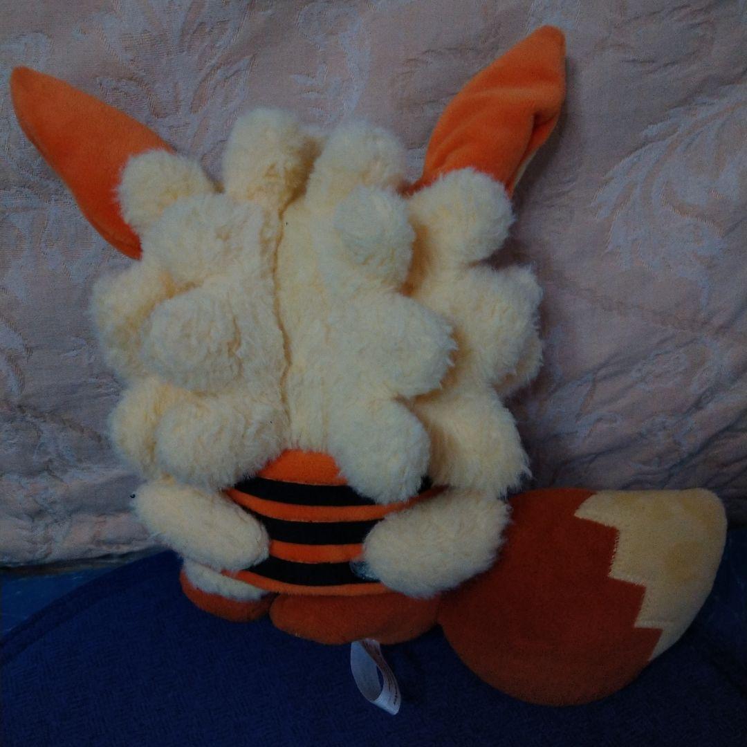 ポケモン☆♥ウインディ ポンチョ イーブイ(ノーマル)♥☆ポケセン沖縄