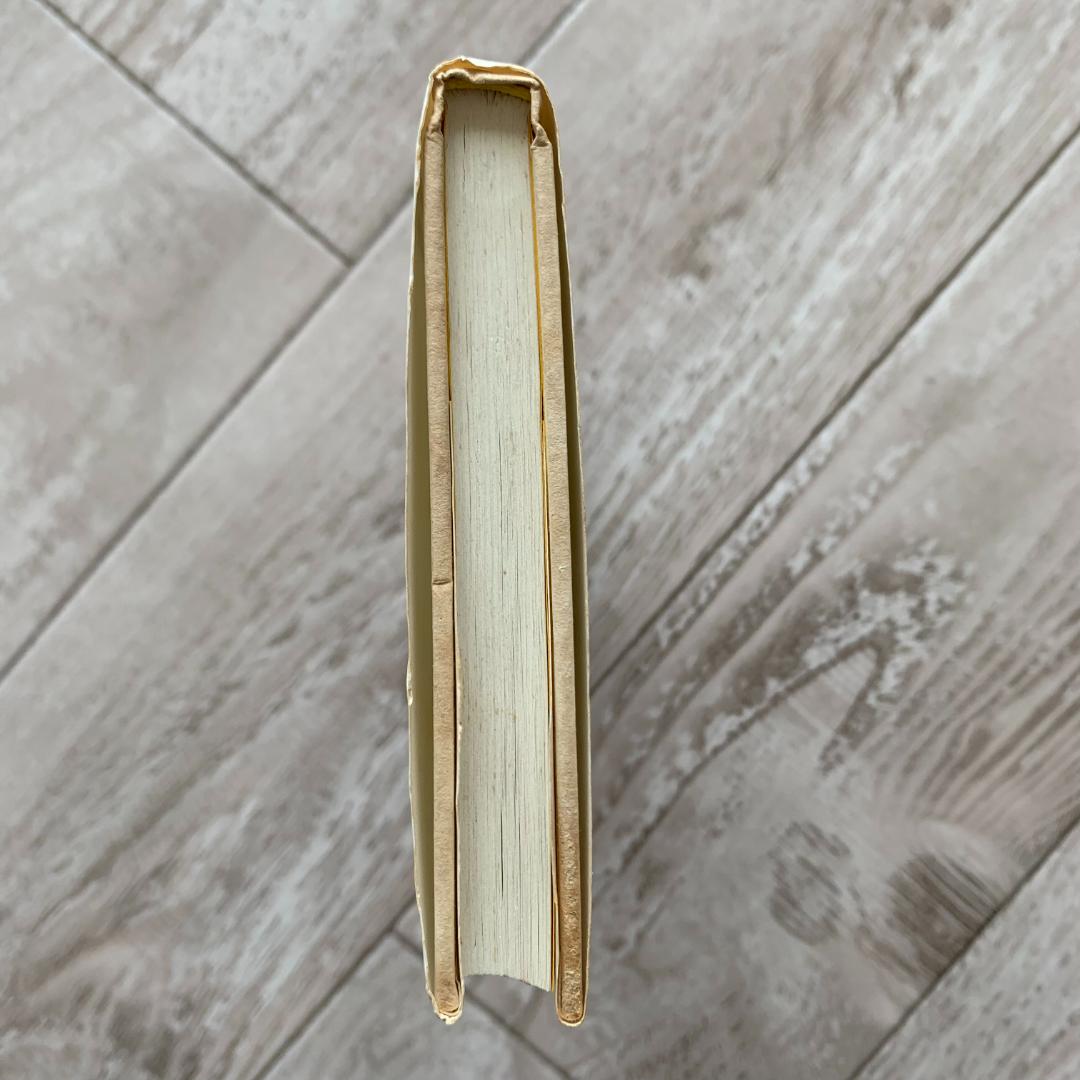 普通の女 駄目なものは駄目、いいものはいい/浜田 マキ子