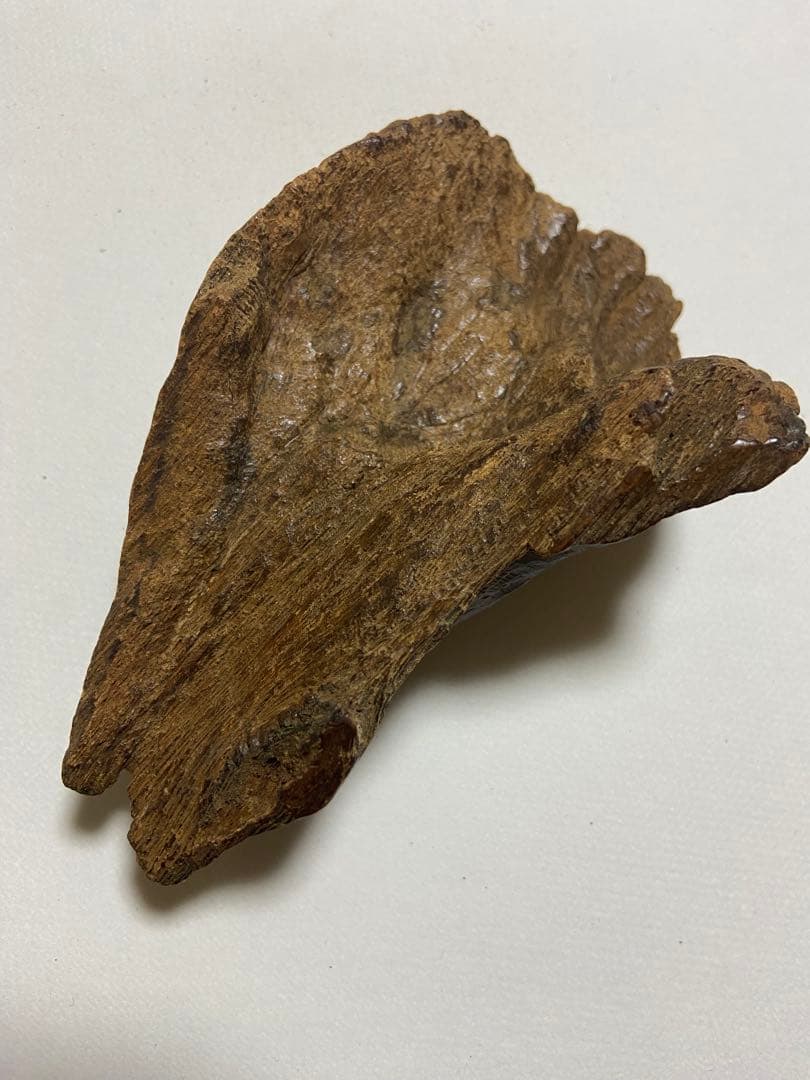 古渡沈香木 極上沈水黒タニ60g - メルカリ