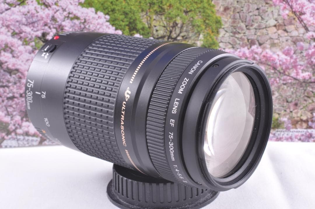 望遠はここから！ Canon キヤノン 望遠レンズ EF75-300mm #9