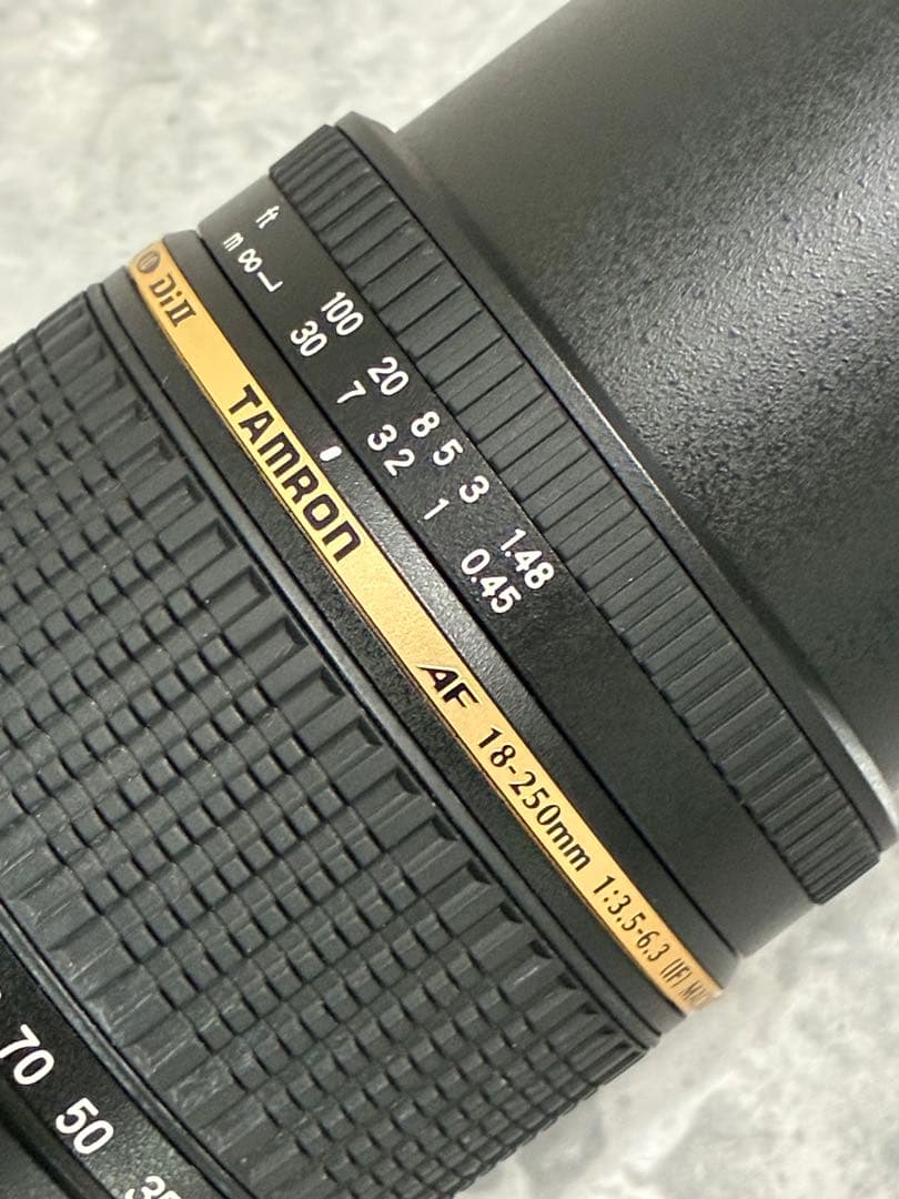 ⭐️外観美品⭐️TAMRON 18-250mm F3.5-6.3 MACROニコン用