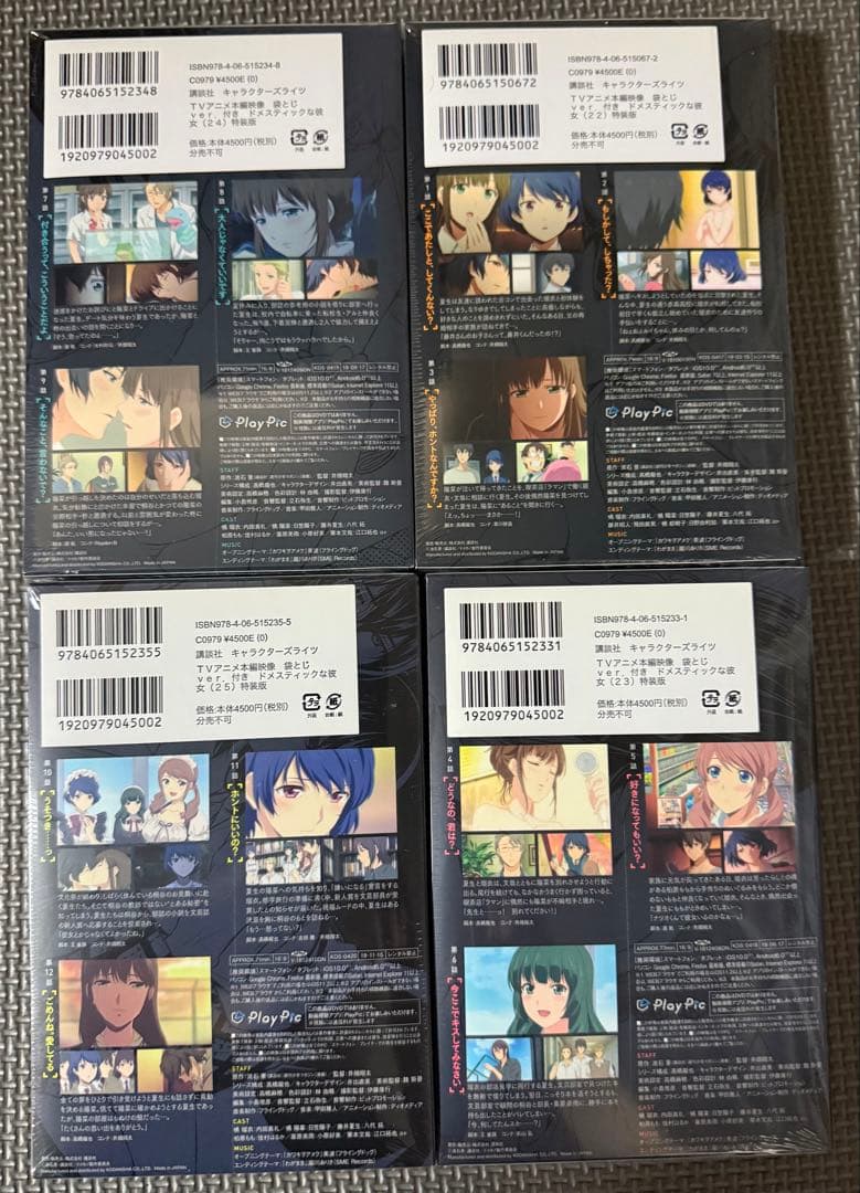 【未開封】 ドメスティックな彼女 特装版