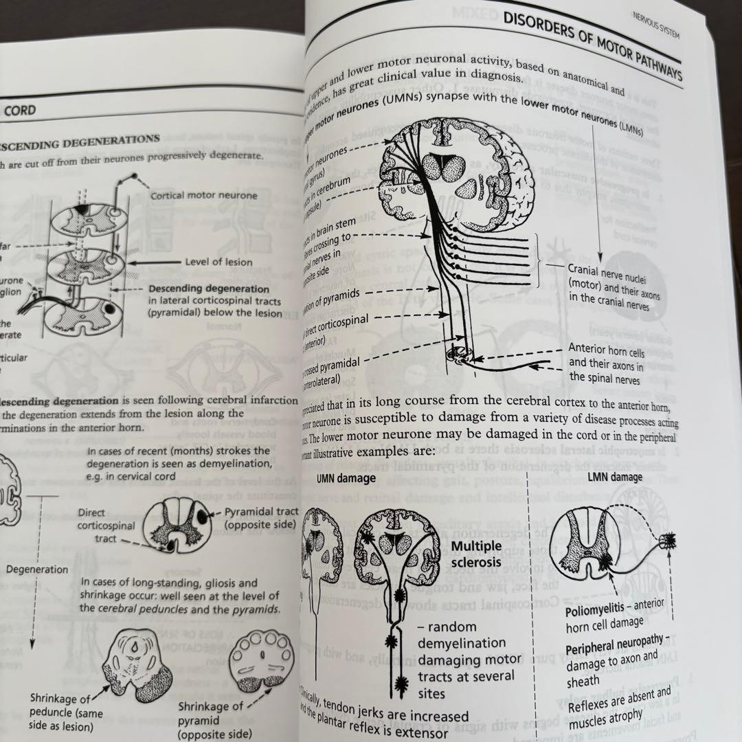 洋書】 Pathology Illustrated 8th Edition - メルカリ
