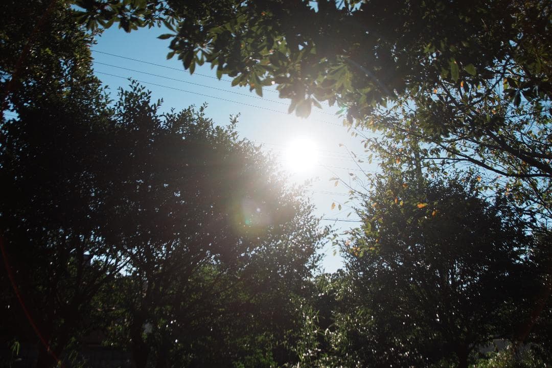 レンズ(ズーム) Nikon AF-S Nikkor 18-200mm F3.5-5.6 G ED