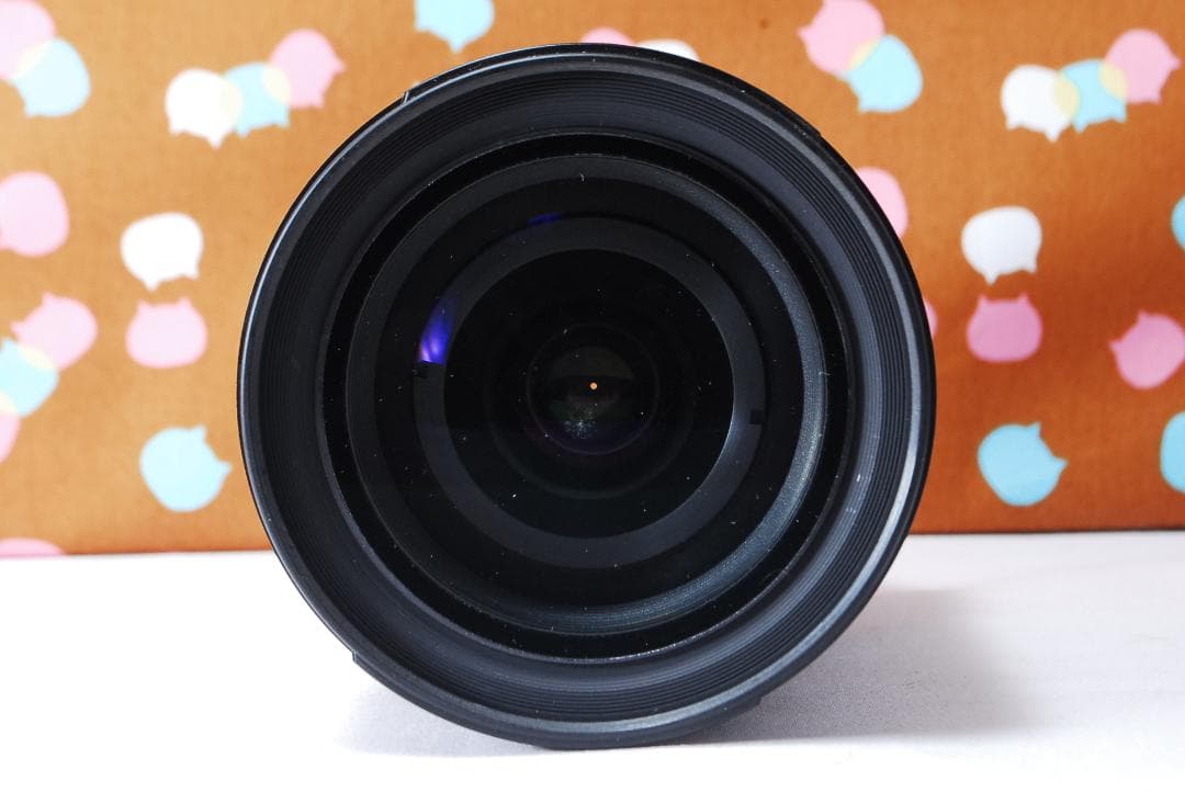 ✨美品✨Nikon AF-S 24-120mm F3.5-5.6 G VR