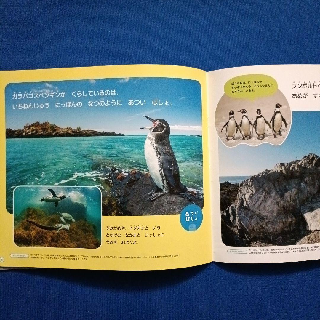 ビッグサイエンス キンダーブックしぜん こどものくに ペンギンさんの