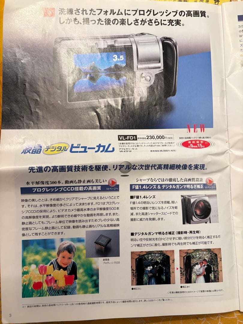 SHARP シャープ VL-FD1 液晶デジタルビューカム ビデオ バッグ有