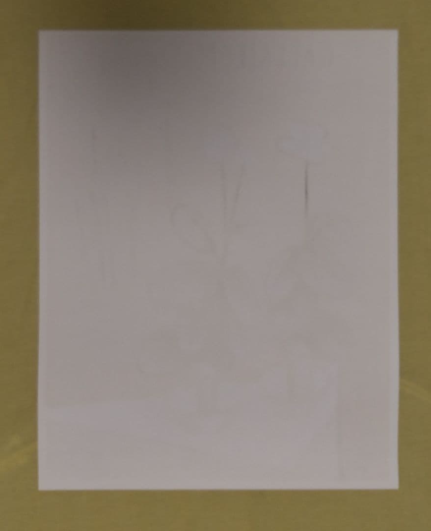 ベルナール·ビュッフェ 【青いプリムラ】 オリジナルリトグラフ