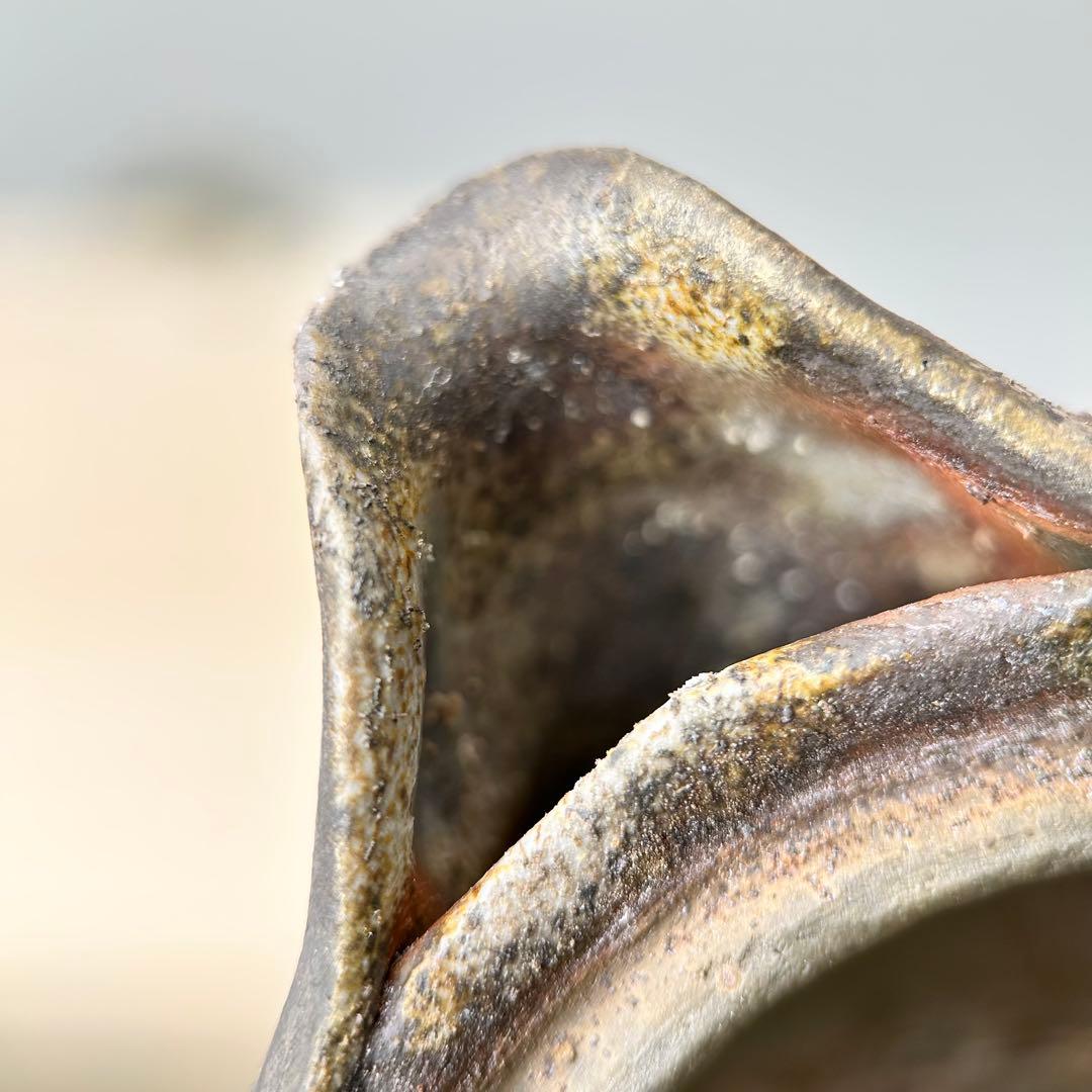 石田安弘 備前焼梅宝瓶 般若心经 人気作者 急須 共箱 共布 茶注 煎茶