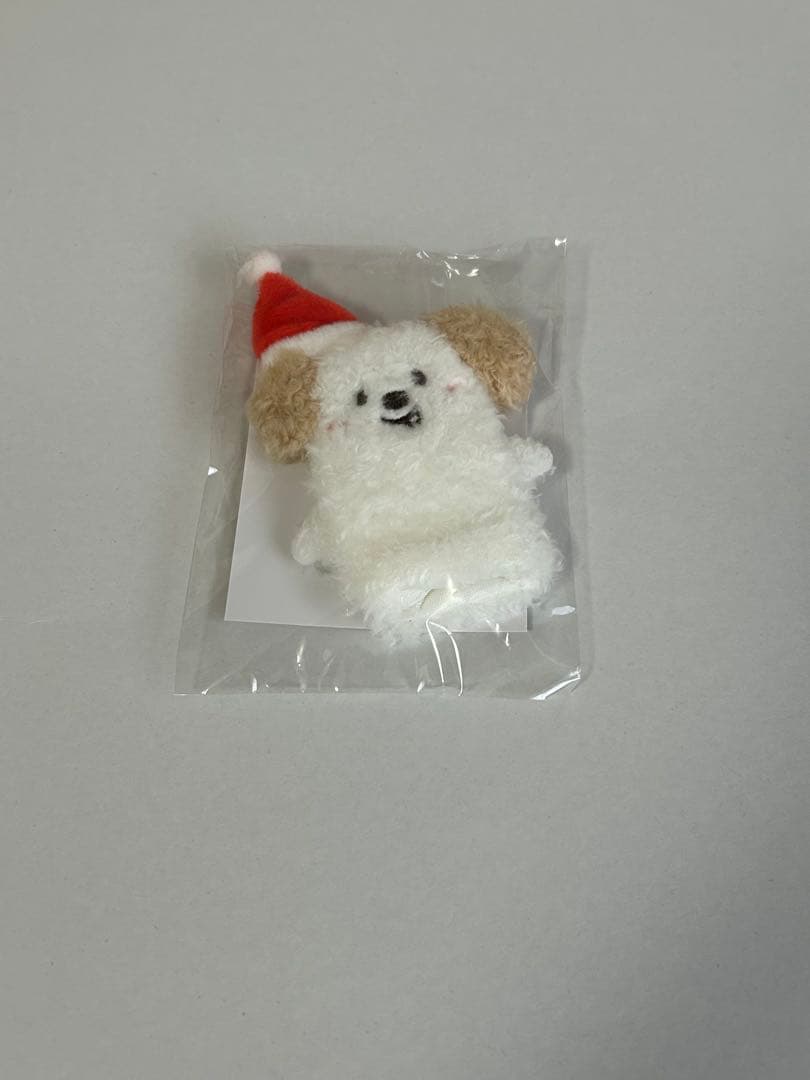 RIIZE 109 POPUP アントン 指人形キーホルダー ぬいぐるみ - メルカリ