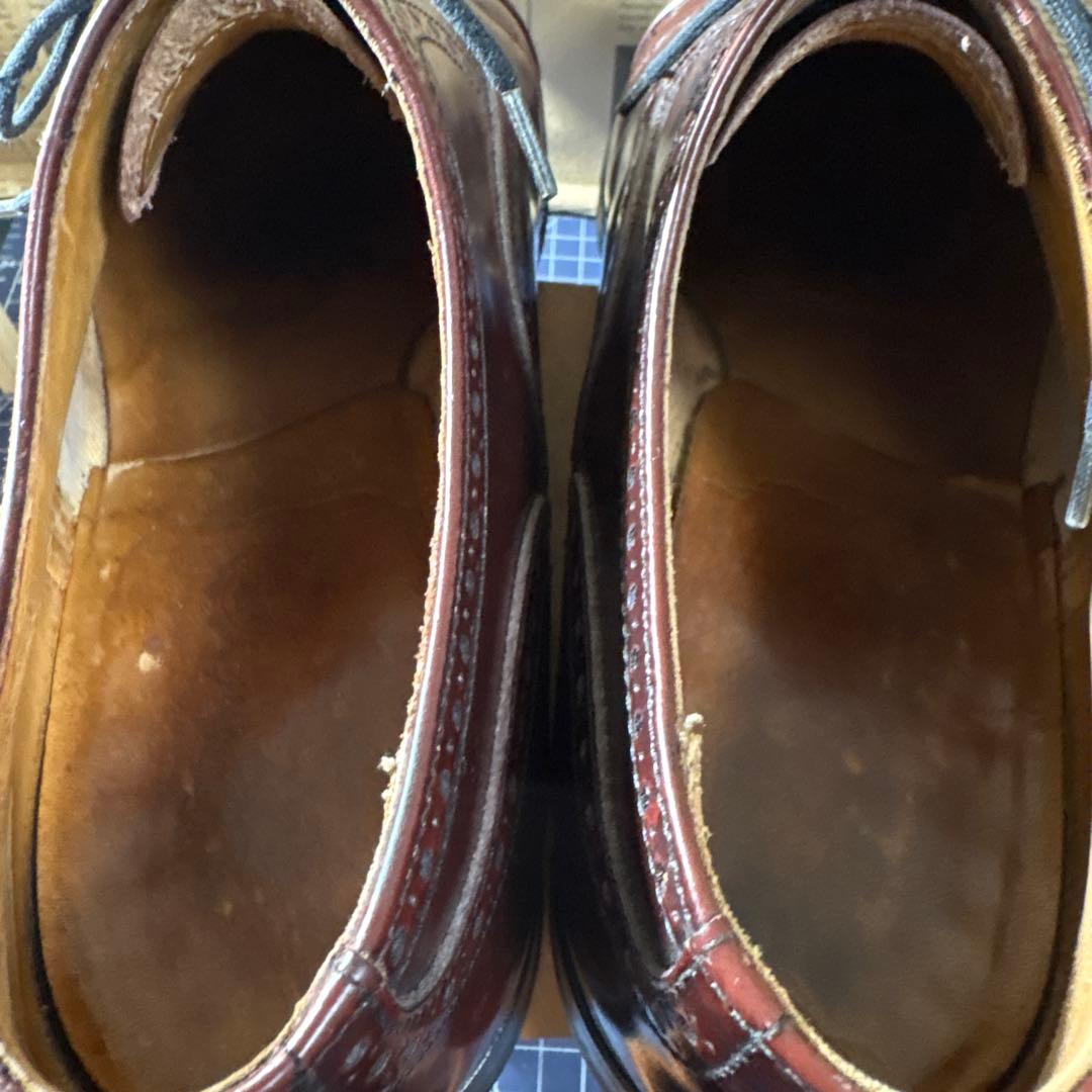 ☆Alfred Sargent（アルフレッドサージェント） セミブローグ 87F