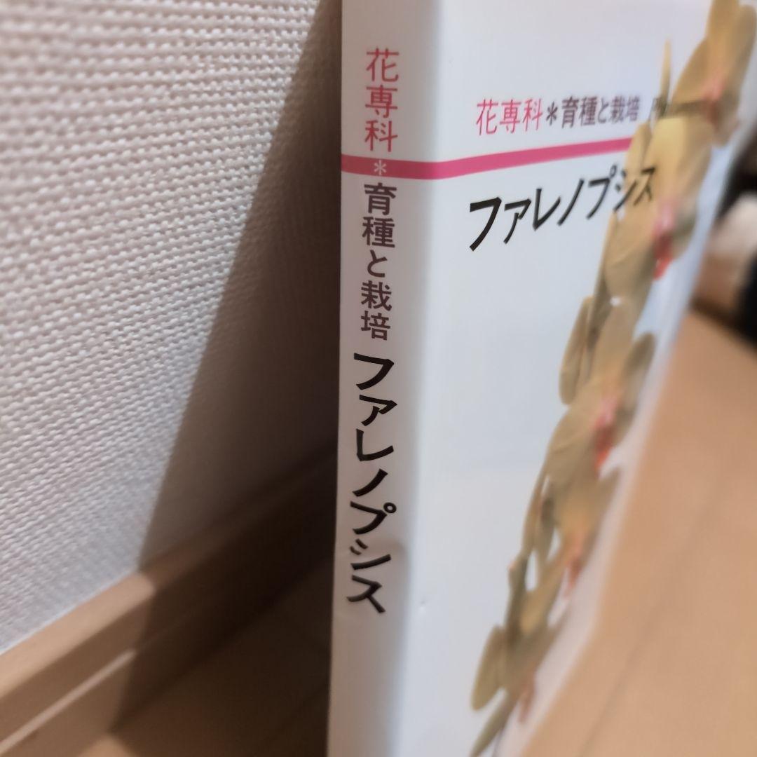 レア】ファレノプシス （花専科・育種と栽培） 市橋正一／編著