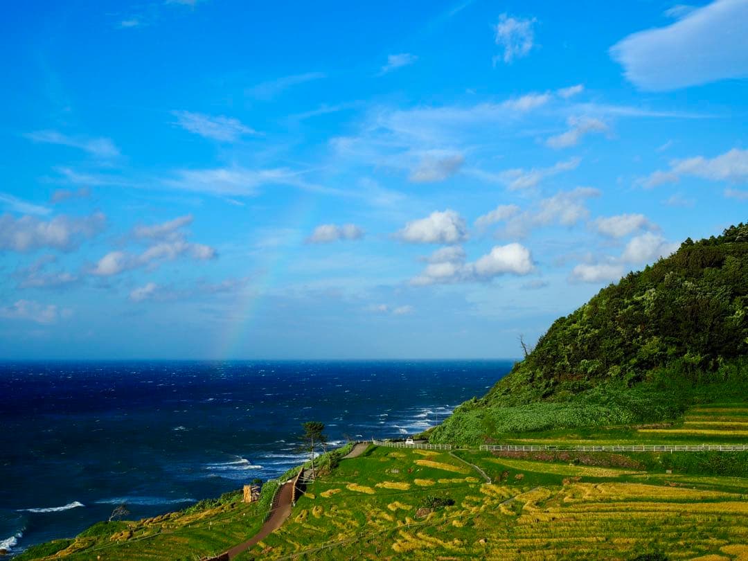 ラルチザンパフューム　ラペルトワ　香水　125ml フランス製 ラペル トワ EDP(ラルチザンパフューマー)の通販・口コミ | 化粧品