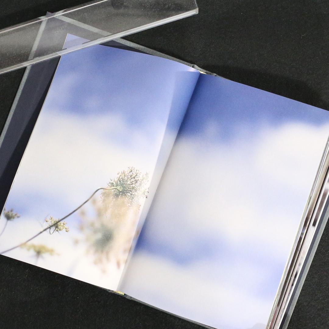 Another Summer　Terri Weifenbach　写真集