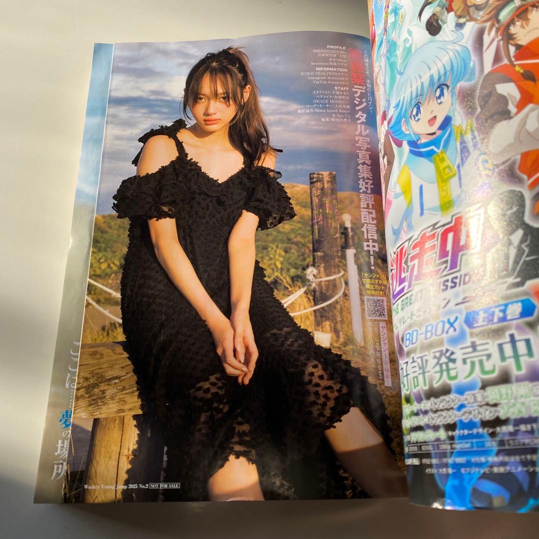 ヤングジャンプ No.2 ヤンジャン 樺島光 加藤栞 - メルカリ