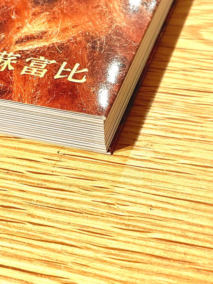 希少】Sotheby's NIGO ONLY LIVES TWICE 図録 - メルカリ