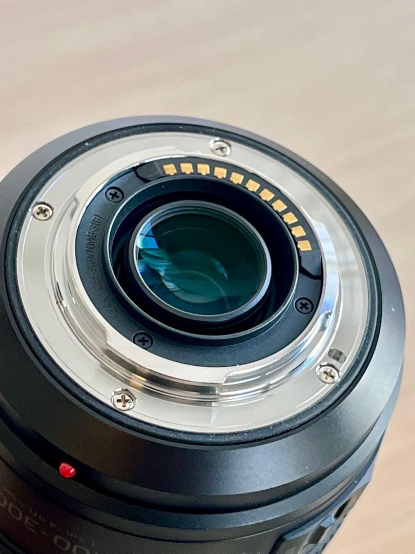 レンズ(ズーム) LUMIX 100-300mm F4.0-5.6 II POWER O.I.S.