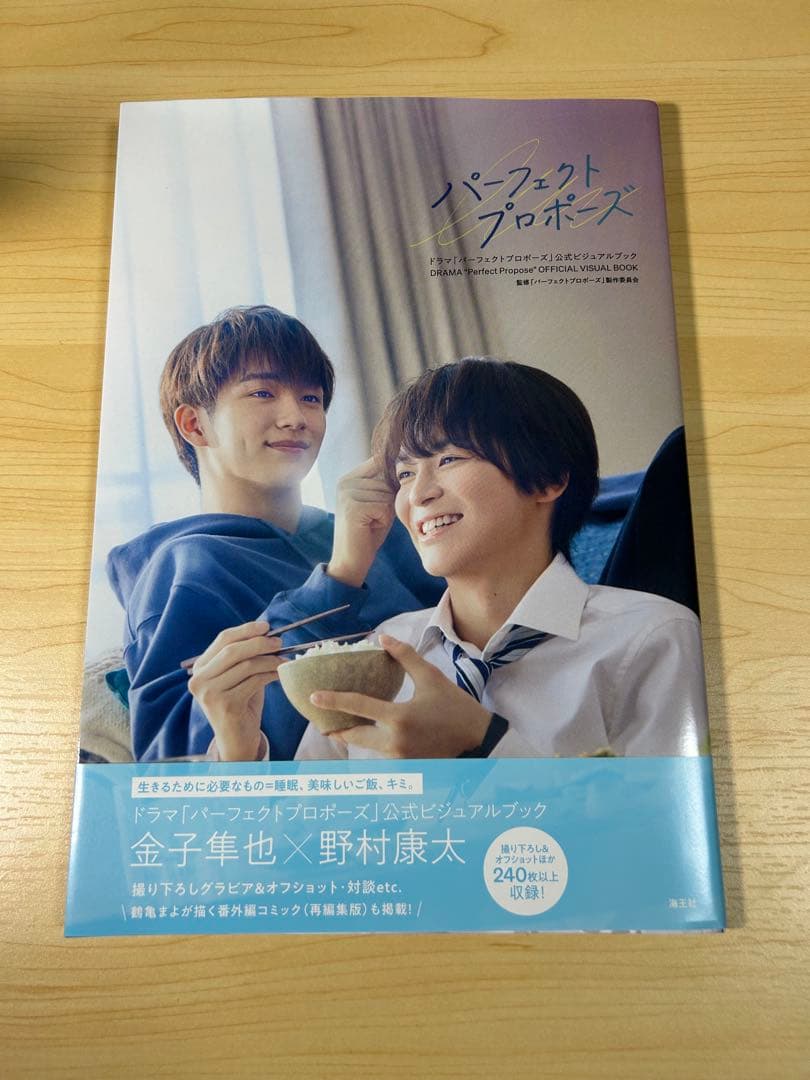 ドラマ パーフェクトプロポーズ 公式ビジュアルブック 野村康太 金子隼