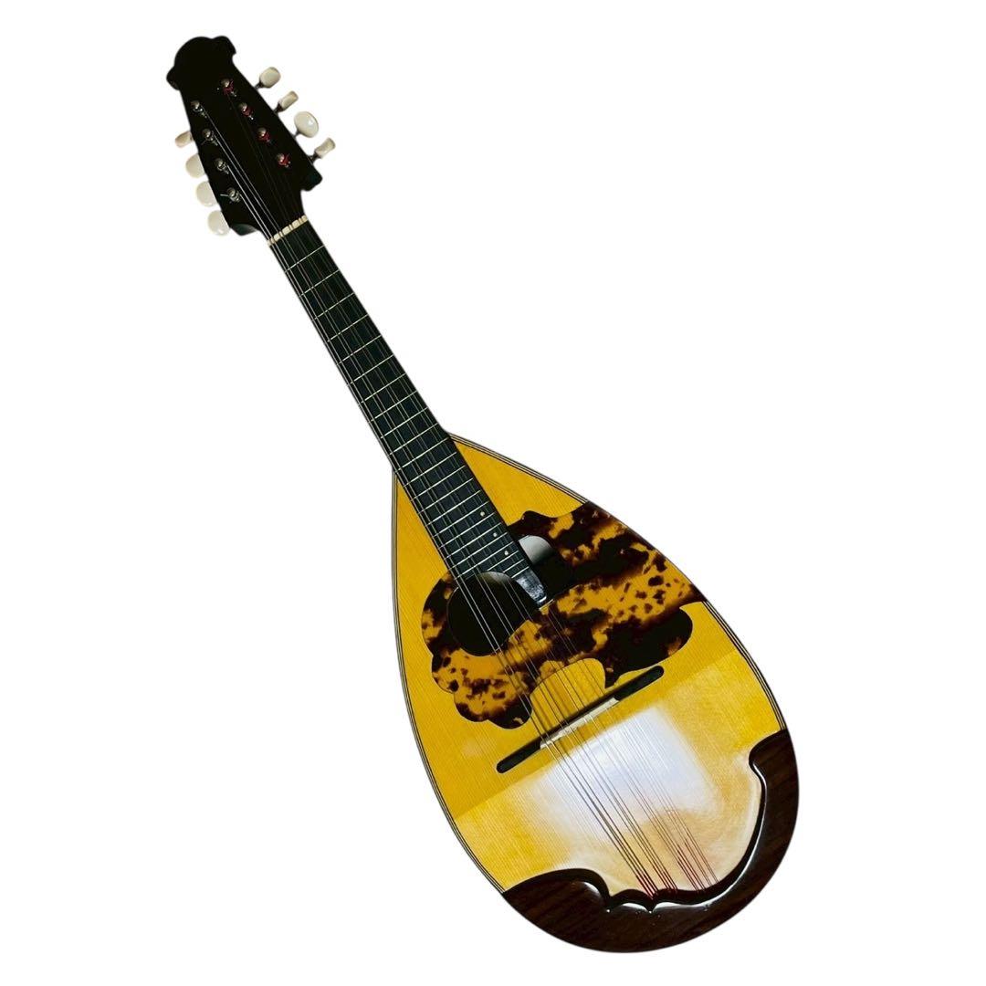 美品】中出六太郎 ROKUTARO NAKADE マンドリン A50 - メルカリ