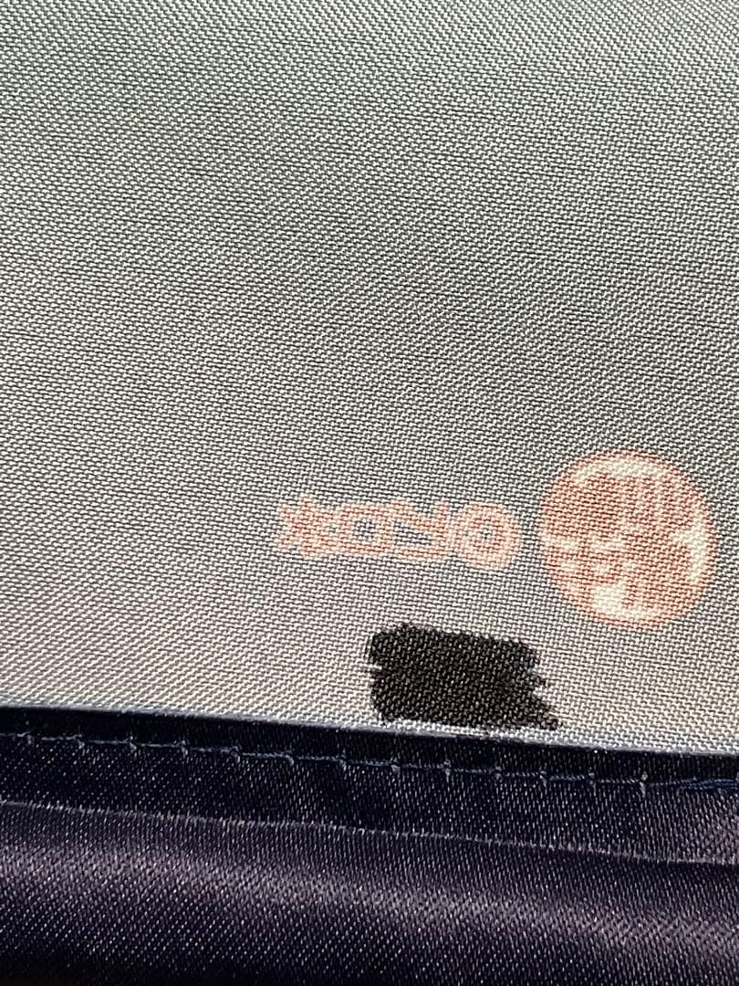 直筆サイン入り】ピロ水(アマカノ) はにかみ彼女　水澄華実 B2タペストリー