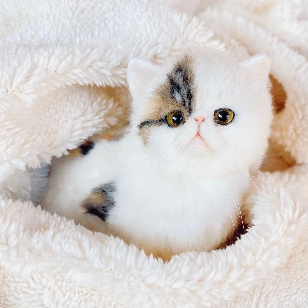 羊毛フェルト猫 全身タイプ リアル可愛い三毛のエキゾチックショート