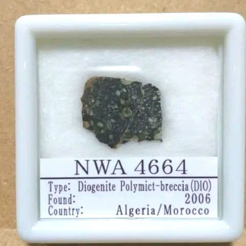 レア隕石！ダイオジェナイト NWA4664隕石標本